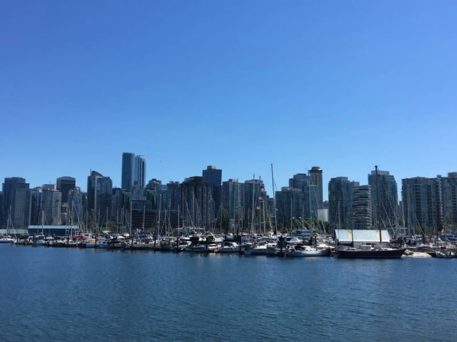 溫哥華之旅 Stanley Park-Day 3照片 1