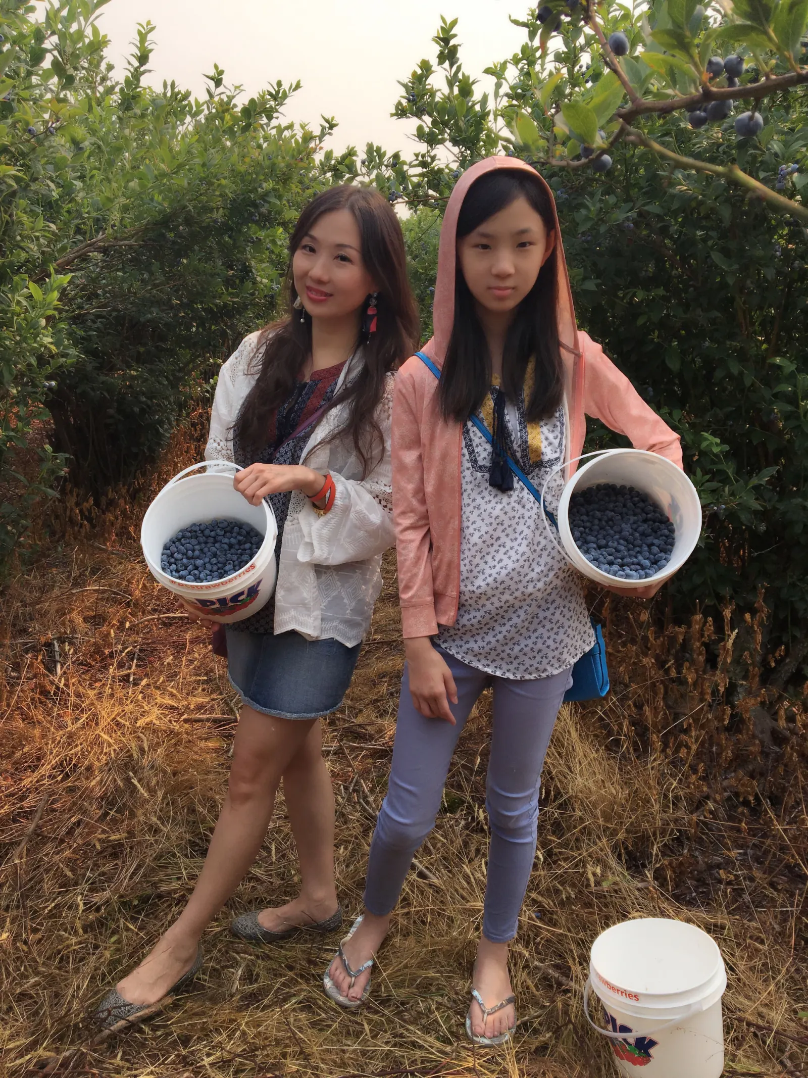 溫哥華之旅 採藍莓-Day 6照片 1